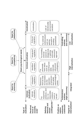 Intrinsic Motivation And Selfdetermination In Exercise And Sport Martin Hagger Nikos Chatzisarantis