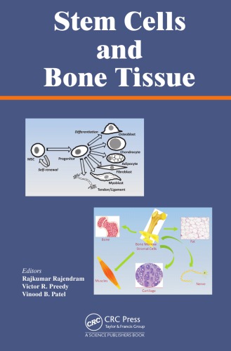 Stem Cells And Bone Tissue Rajkumar Rajendram Victor R Preedy Vinood B Patel
