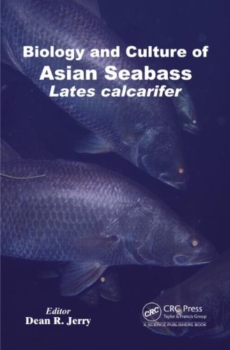 Biology And Culture Of Asian Seabass Lates Calcarifer Dean R Jerry