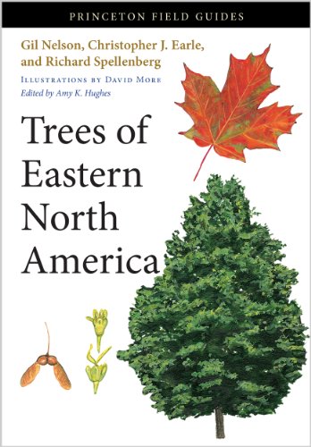 Trees Of Eastern North America Illustrations By David More Edited By Amy K Hughes Gil Nelson