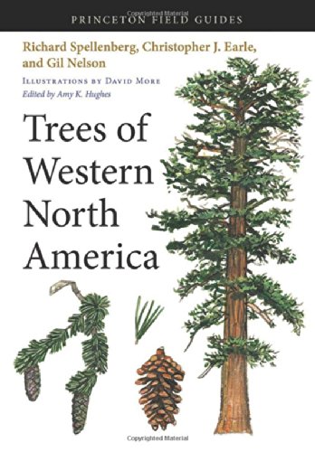 Trees Of Western North America Illustrations By David More Edited By Amy K Hughes Richard Spellenberg
