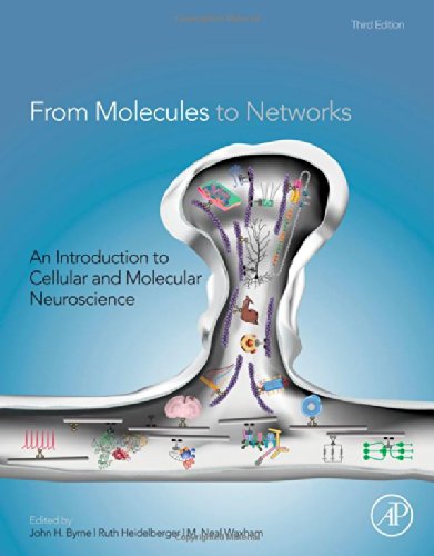 From Molecules To Networks Third Edition An Introduction To Cellular And Molecular Neuroscience 3rd Edition John H Byrne
