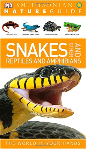 Nature Guide Snakes And Other Reptiles And Amphibians Dk Publishing
