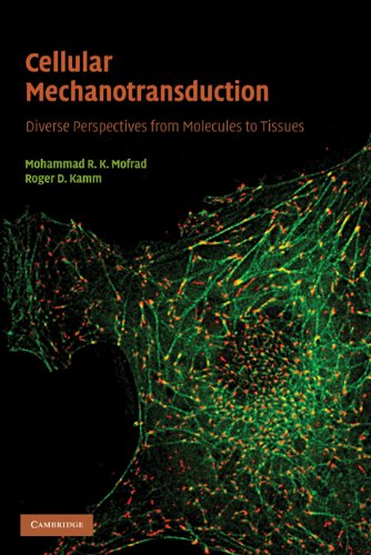 Cellular Mechanotransduction Diverse Perspectives From Molecules To Tissues 1st Edition Mohammad R K Mofrad