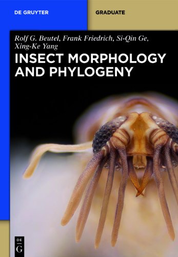 Insect Morphology And Phylogeny A Textbook For Students Of Entomology Rolf G Beutel