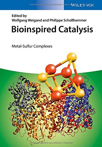 Bioinspired Catalysis Metalsulfur Complexes 1st Edition Wolfgang Weigand