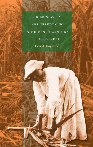 Sugar Slavery And Freedom In Nineteenthcentury Puerto Rico Luis A Figueroa