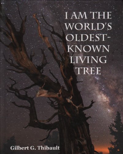 I Am The Worlds Oldestknown Living Tree Dr Gilbert G Thibault