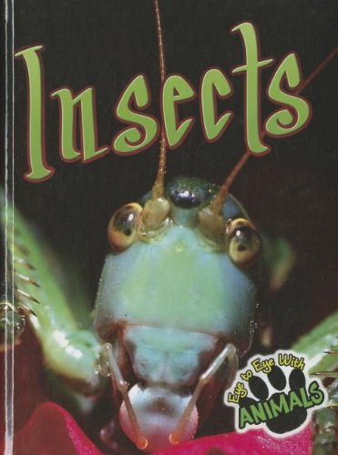 Insects Don Mcleese