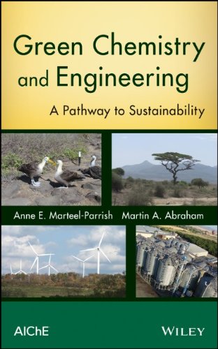 Green Chemistry And Engineering A Pathway To Sustainability 1st Edition Anne E Marteelparrish