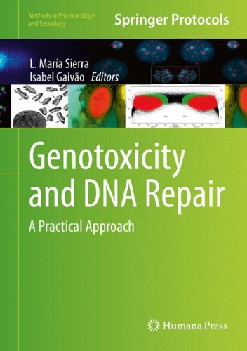 Genotoxicity And Dna Repair A Practical Approach 1st Edition L Mara Sierra