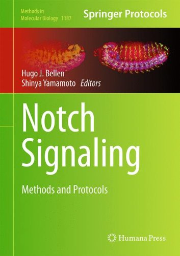 Notch Signaling Methods And Protocols 1st Edition Hugo J Bellen