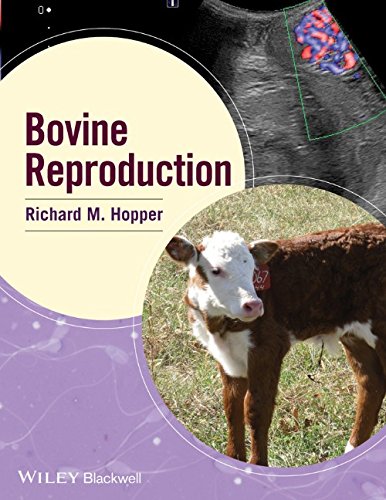 Bovine Reproduction 1st Edition Richard M Hopper