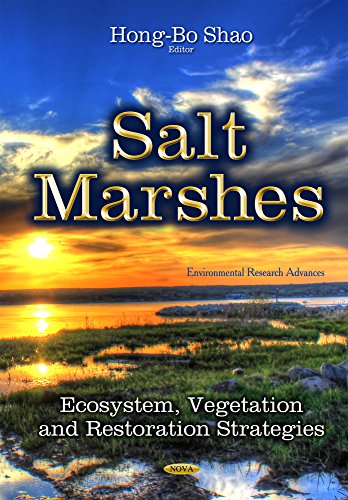 Salt Marshes Ecosystem Vegetation And Restoration Strategies Hongbo Shao