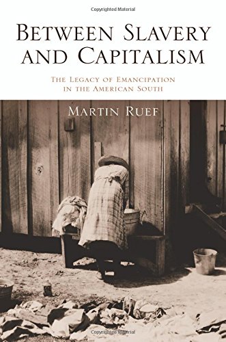 Between Slavery And Capitalism The Legacy Of Emancipation In The American South Martin Ruef