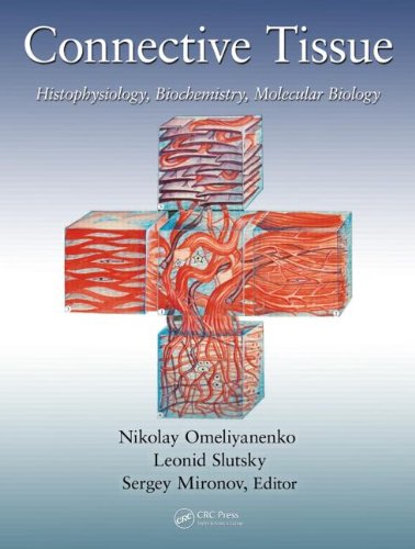 Connective Tissue Histophysiology Biochemistry Molecular Biology 1st Edition Nikolay Petrovich Omelyanenko