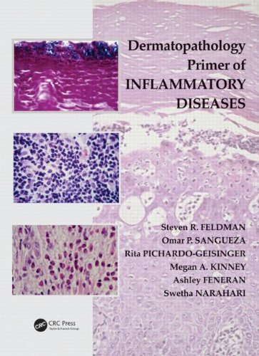 Dermatopathology Primer Of Inflammatory Diseases 1st Edition Steven R Feldman