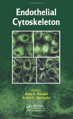 Endothelial Cytoskeleton 1st Edition Juan A Rosado Pedro C Redondo