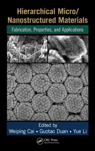 Hierarchical Micronanostructured Materials Fabrication Properties And Applications 1st Edition Weiping Cai