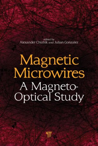 Magnetic Microwires A Magnetooptical Study 1st Edition Alexander Chizhik