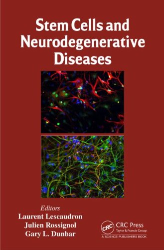 Stem Cells And Neurodegenerative Diseases 1st Edition Laurent Lescaudron
