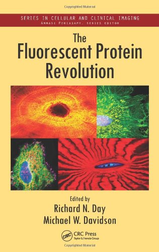 The Fluorescent Protein Revolution 1st Edition Richard N Day