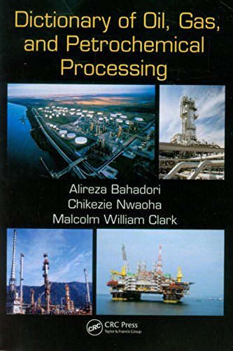 Dictionary Of Oil Gas And Petrochemical Processing Alireza Bahadori