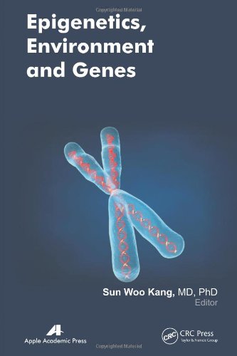 Epigenetics Environment And Genes Sun Woo Kang
