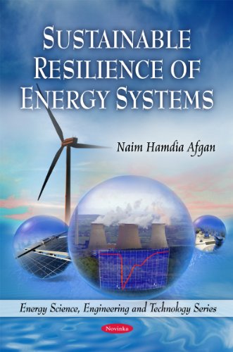 Sustainable Resilience Of Energy Systems Naim Hamdia Afgan
