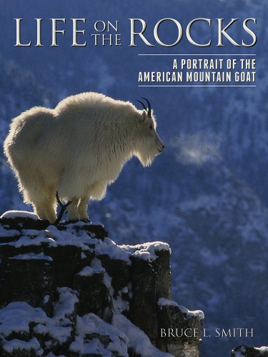 Life On The Rocks A Portrait Of The American Mountain Goat 1st Edition Bruce L Smith