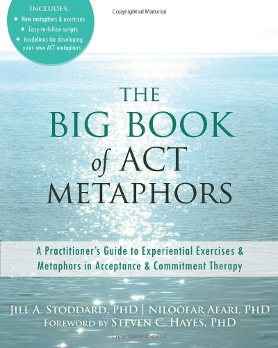 The Big Book Of Act Metaphors A Practitioners Guide To Experiential Exercises And Metaphors In Acceptance And Commitment Therapy 1st Edition Jill A Stoddard