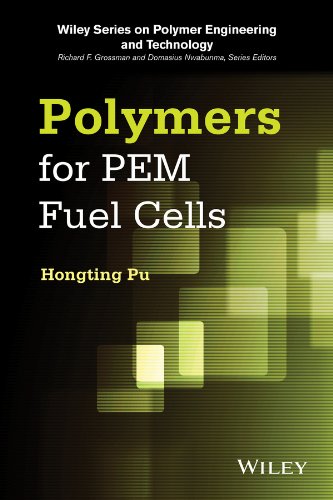 Polymers For Pem Fuel Cells 1st Edition Hongting Pu