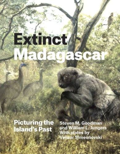 Extinct Madagascar Picturing The Islands Past Steven M Goodman