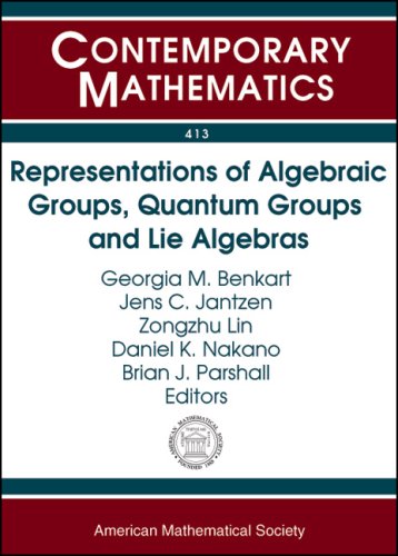 Representations Of Algebraic Groups Quantum Groups And Lie Algebras Georgia Benkart