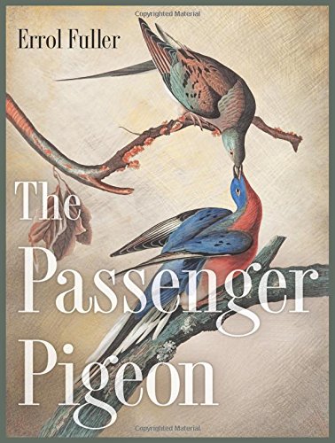 The Passenger Pigeon Errol Fuller