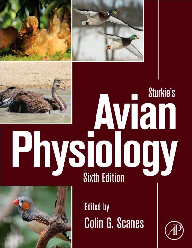 Sturkies Avian Physiology Sixth Edition 6th Edition Colin G Scanes