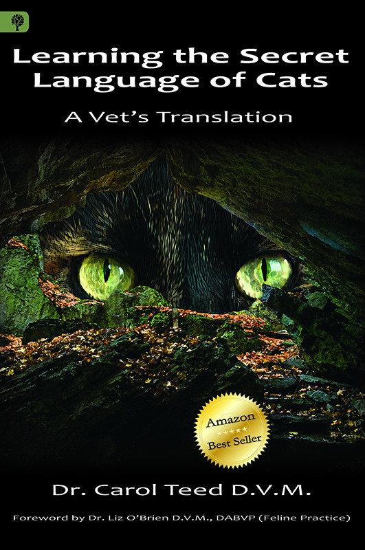 Learning The Secret Language Of Cats Teed Dvm Dr Carol