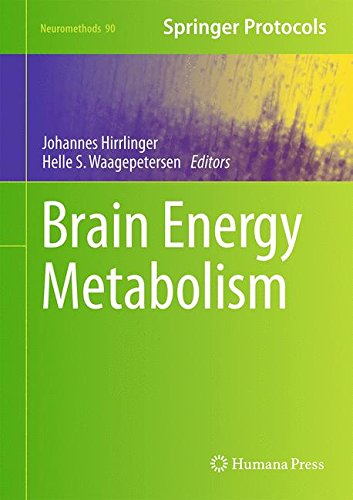 Brain Energy Metabolism 1st Edition Johannes Hirrlinger Helle S Waagepetersen Eds