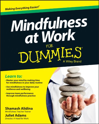 Mindfulness At Work For Dummies Shamash Alidina