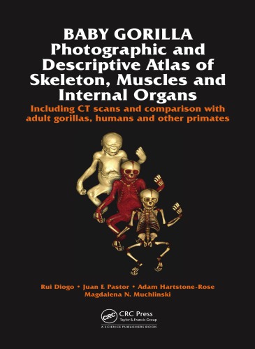 Baby Gorilla Photographic And Descriptive Atlas Of Skeleton Muscles And Internal Organs Including Ct Scans And Comparison With Adult Gorillas Humans And Other Primates Rui Diogo