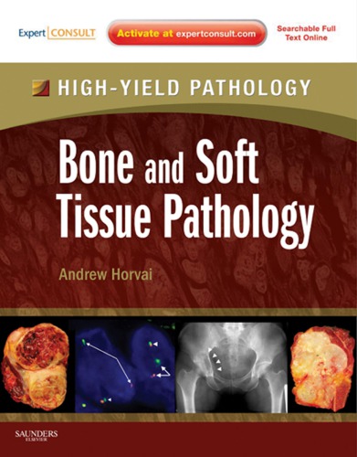 Bone And Soft Tissue Pathology Andrew E Horvai Ed Thomas Link Ed