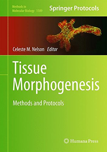 Tissue Morphogenesis Methods And Protocols 1st Edition Celeste M Nelson Eds