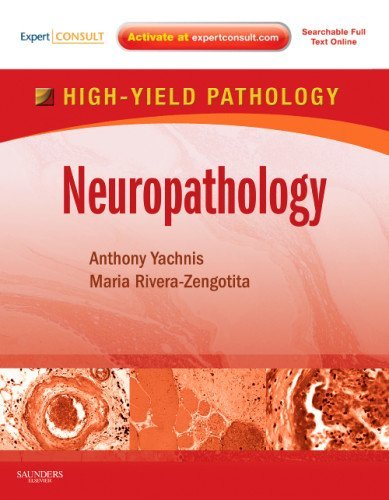 Neuropathology A Volume In The High Yield Pathology Series 1 Harpsc Anthony T Yachnis Md