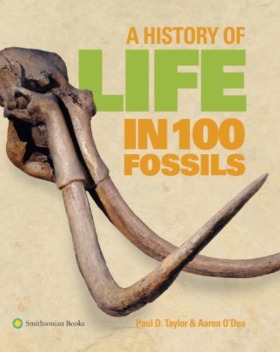 A History Of Life In 100 Fossils Paul D Taylor Aaron Odea