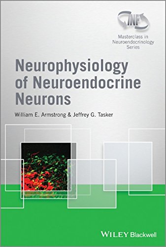 Neurophysiology Of Neuroendocrine Neurons 1st Edition William E Armstrong