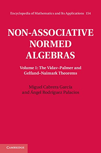 Nonassociative Normed Algebras Volume 1 The Vidavpalmer And Gelfandnaimark Theorems Miguel Cabrera Garca