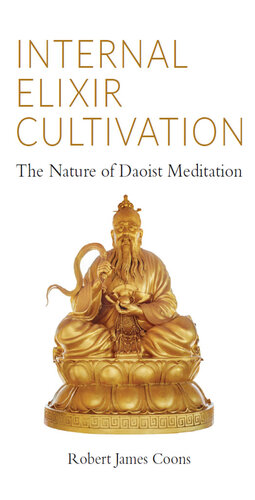 Internal Elixir Meditation The Nature Of Daoist Meditation Robert Coons