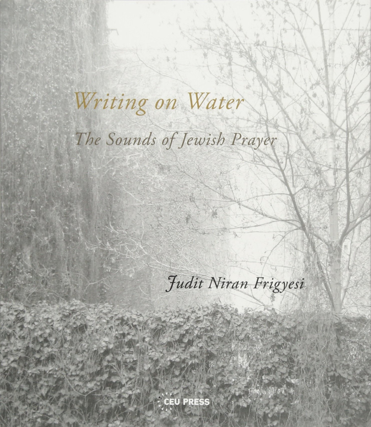 Writing On Water The Sounds Of Jewish Prayer Judit Niran Frigyesi