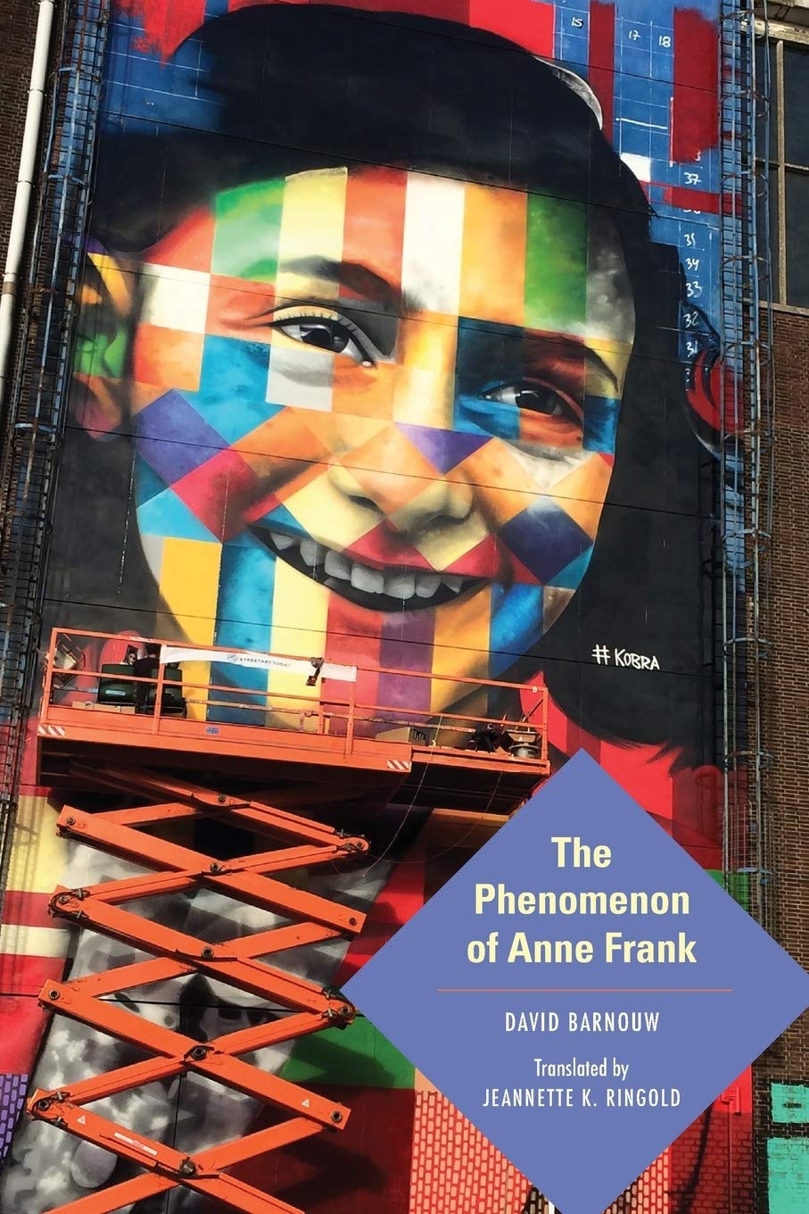 The Phenomenon Of Anne Frank Jewish Literature And Culture Illustrated David Barnouw