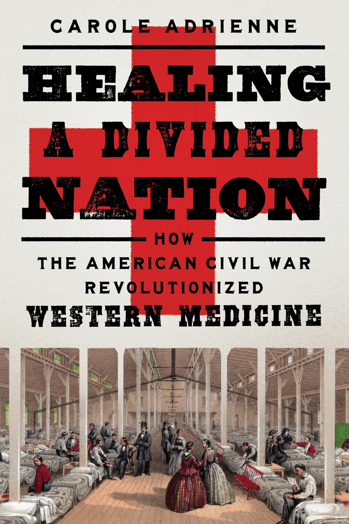 Healing A Divided Nation Carole Adrienne